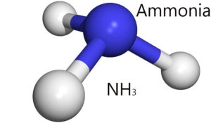 Amoniac