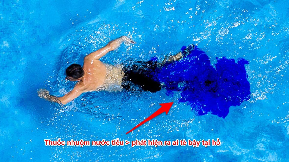 Vấn nạn nước tiểu trong hồ bơi - Hậu quả khó lường cho sức khỏe 2 Nước Tiểu Trong Hồ Bơi - Hậu Quả Khó Lường Cho Sức Khỏe