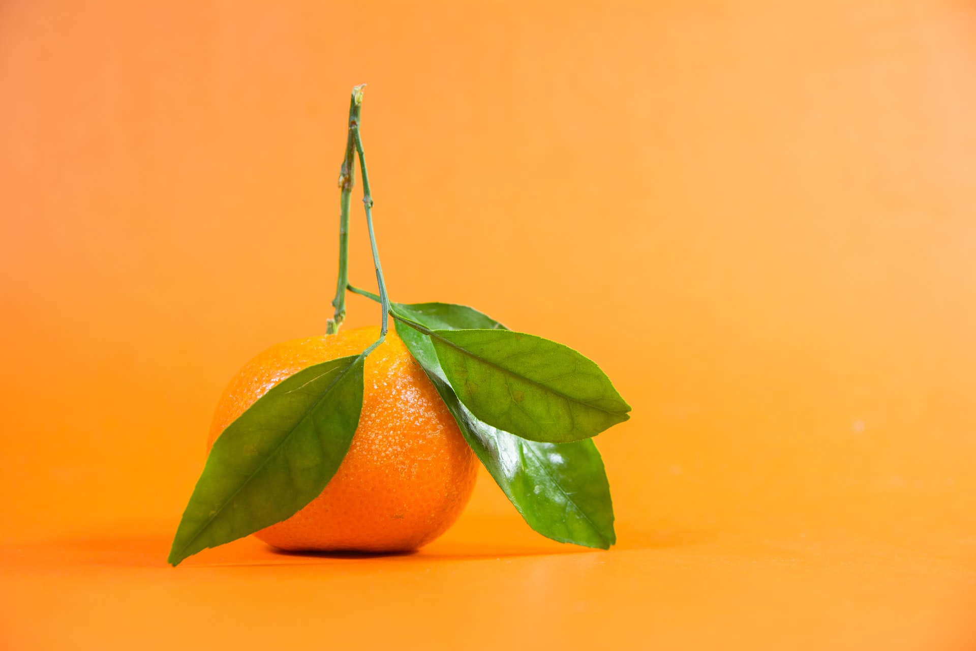 Vitamin C. Photo by <a href="https://unsplash.com/@grstocks?utm_source=unsplash&utm_medium=referral&utm_content=creditCopyText">GR Stocks</a> on <a href="https://unsplash.com/photos/Xu4eHONyOj4?utm_source=unsplash&utm_medium=referral&utm_content=creditCopyText">Unsplash</a> 