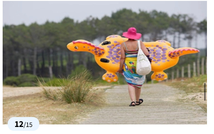 Screenshot 20230428 122212 1